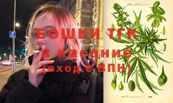 Альфа ПВП Белокуриха