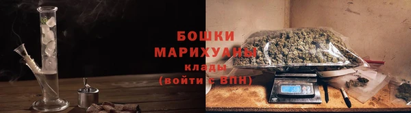 Альфа ПВП Белокуриха